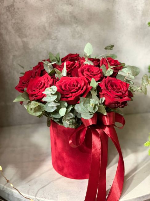 АЛОЕ ВЕЛИКОЛЕПИЕ