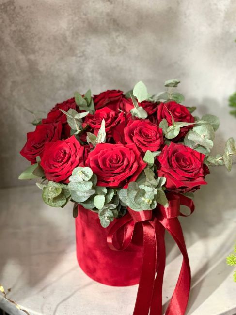 АЛОЕ ВЕЛИКОЛЕПИЕ