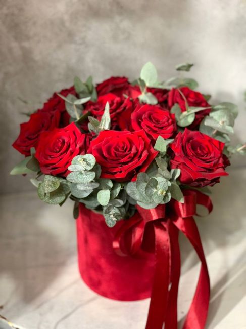 АЛОЕ ВЕЛИКОЛЕПИЕ