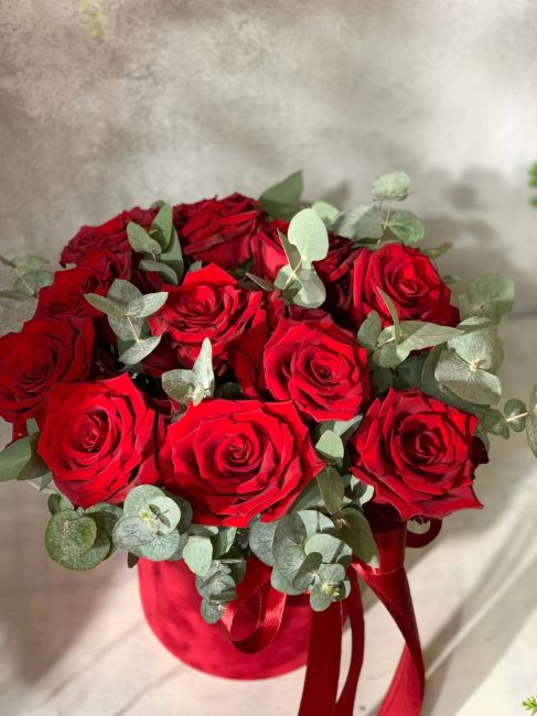 АЛОЕ ВЕЛИКОЛЕПИЕ