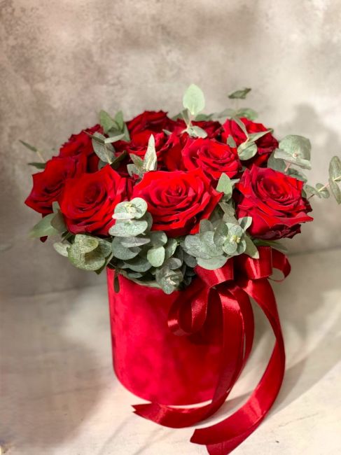 АЛОЕ ВЕЛИКОЛЕПИЕ