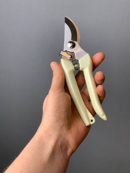 Секатор ― Мята